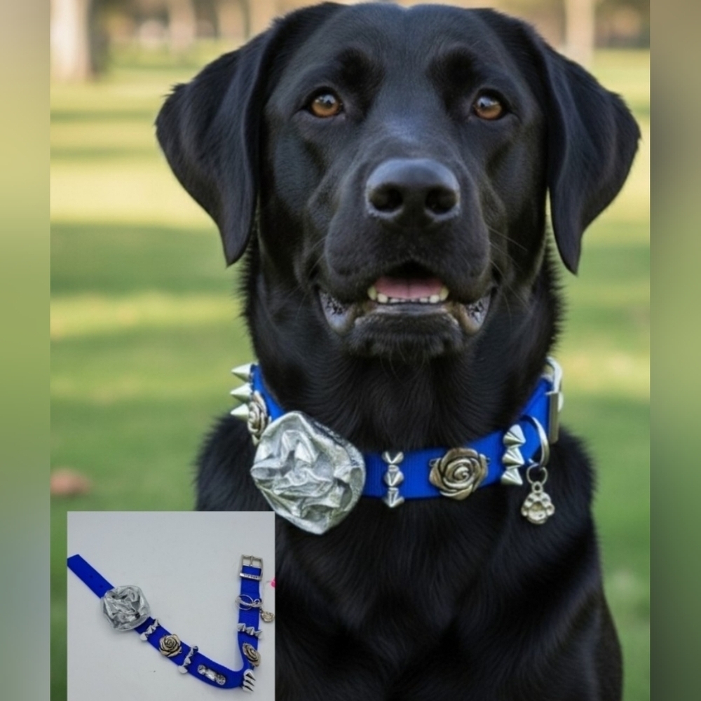 Top Paw Customized Dog Collar TALK TO THE PAW Blue Silver Flower Bling S…
